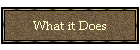 What it Does